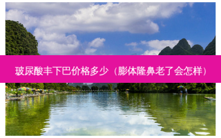 玻尿酸丰下巴价格多少（膨体隆鼻老了会怎样）