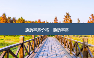 脂肪丰唇价格，脂肪丰唇