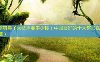 整容鼻子大概需要多少钱（中国 *** 的十大整形医院）