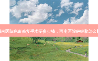 西南医院疤痕修复手术要多少钱，西南医院疤痕胶怎么样