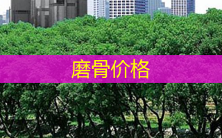 磨骨价格