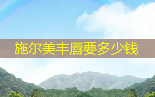 施尔美丰唇要多少钱