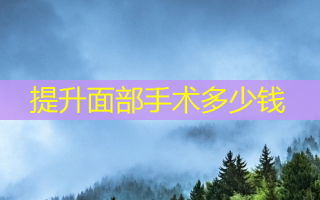 提升面部手术多少钱