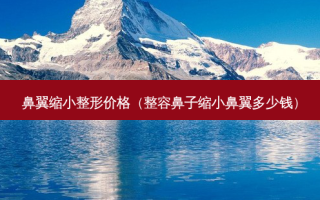 鼻翼缩小整形价格（整容鼻子缩小鼻翼多少钱）
