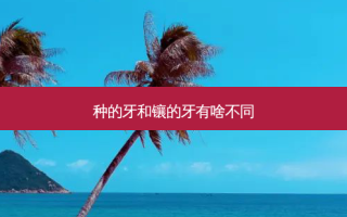种的牙和镶的牙有啥不同