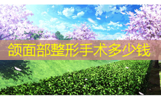 颌面部整形手术多少钱