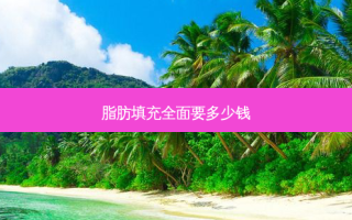 脂肪填充全面要多少钱