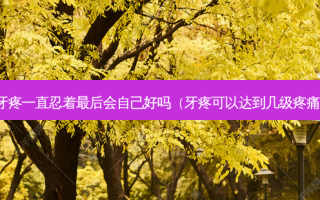 牙疼一直忍着最后会自己好吗（牙疼可以达到几级疼痛）