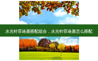 水光针菲洛嘉搭配组合，水光针菲洛嘉怎么搭配