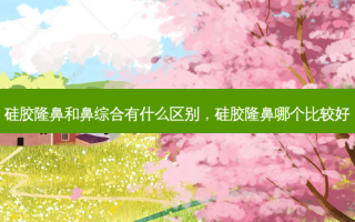 硅胶隆鼻和鼻综合有什么区别，硅胶隆鼻哪个比较好