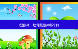 l型假体，肋骨跟假体哪个好