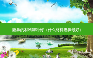隆鼻的材料哪种好（什么材料隆鼻 *** ）