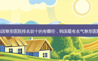 韩国整形医院排名前十的有哪些，韩国最有名气整形医院