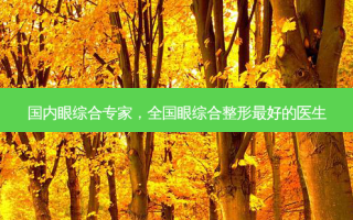 国内眼综合专家，全国眼综合整形 *** 的医生
