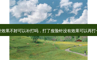 瘦脸针效果不好可以补打吗，打了瘦脸针没有效果可以再打一针吗