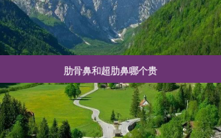 肋骨鼻和超肋鼻哪个贵