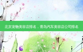 北京宠物美容店排名，青岛汽车美容店公司排名