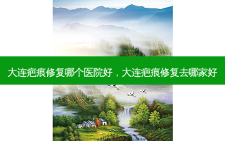 大连疤痕修复哪个医院好，大连疤痕修复去哪家好