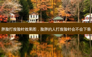 胖脸打瘦脸针效果图，脸胖的人打瘦脸针会不会下垂