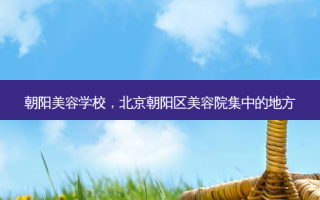 朝阳美容学校，北京朝阳区美容院集中的地方