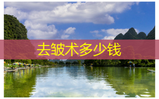去皱术多少钱