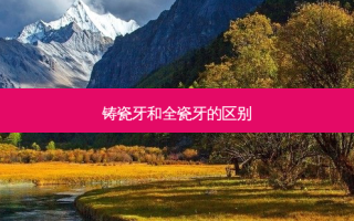 铸瓷牙和全瓷牙的区别
