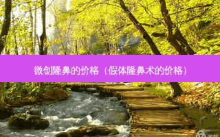 微创隆鼻的价格（假体隆鼻术的价格）