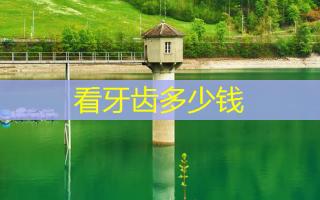 看牙齿多少钱