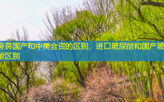 隆鼻国产和中美合资的区别，进口玻尿酸和国产玻尿酸区别