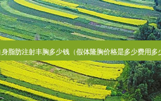 自身脂肪注射丰胸多少钱（假体隆胸价格是多少费用多少）