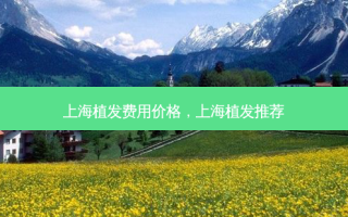 上海植发费用价格，上海植发推荐