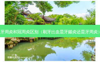 牙周炎和冠周炎区别（刷牙出血是牙龈炎还是牙周炎）
