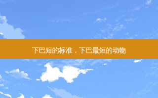 下巴短的标准，下巴最短的动物