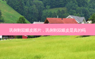 巩俐割双眼皮图片，巩俐割双眼皮是真的吗