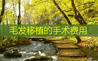 毛发移植的手术费用