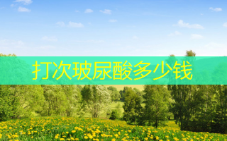 打次玻尿酸多少钱