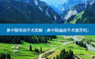 鼻中隔弯曲手术图解（鼻中隔偏曲手术痛苦吗）