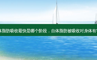自体脂肪吸收最快是哪个阶段，自体脂肪被吸收对身体有害吗