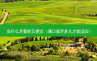 安什么牙 *** 又便宜（满口假牙多久才能适应）