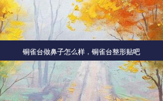 铜雀台做鼻子怎么样，铜雀台整形贴吧