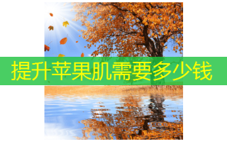 提升苹果肌需要多少钱