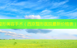整形美容手术（西京整形医院最新价格表）