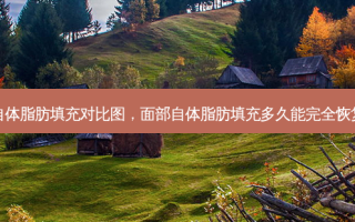 面部自体脂肪填充对比图，面部自体脂肪填充多久能完全恢复自然