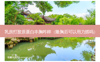  *** 打胶原蛋白丰胸咋样（隆胸后可以用力抓吗）