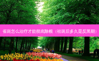 雀斑怎么治疗才能彻底除根（祛斑后多久是反黑期）