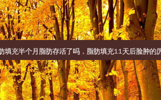 脂肪填充半个月脂肪存活了吗，脂肪填充11天后脸肿的厉害