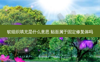 软组织填充是什么意思 贴面属于固定修复体吗