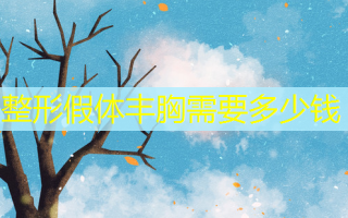 整形假体丰胸需要多少钱