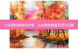 自体脂肪移植的价格，自体脂肪移植原理与实践