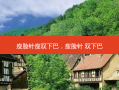瘦脸针瘦双下巴，瘦脸针 双下巴